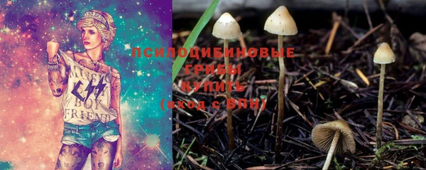 таблы Алексеевка
