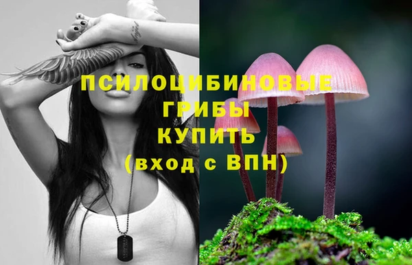 a pvp Саяногорск