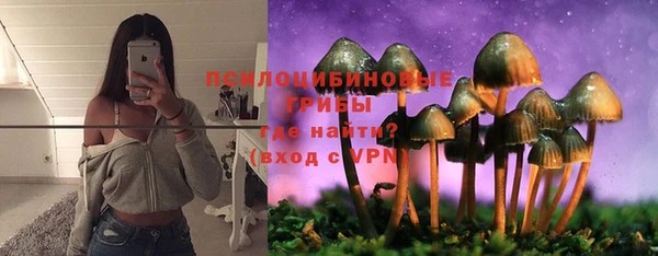 a pvp Саяногорск