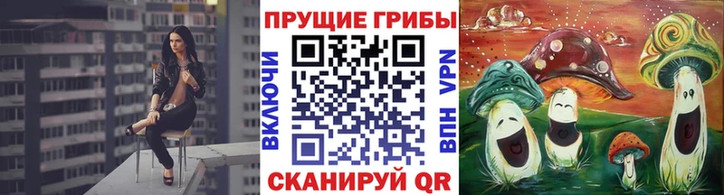 KRAKEN вход  Билибино  Псилоцибиновые грибы прущие грибы 
